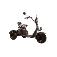 Электроскутер трехколесный CityCoco Trike Skyboard 1000W 20AH/60V