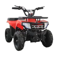 Электровадроцикл GreenCamel Гоби K24 (36V 800W R6 Цепь) Красный